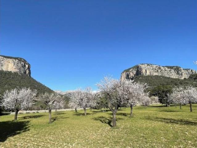 Casa rústica Venta Alaró, Alaró