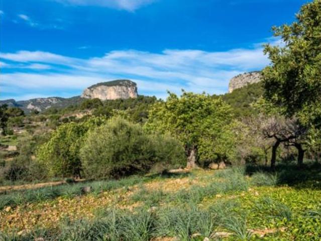 Casa rústica Venta Alaró, Alaró