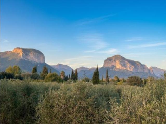 Casa rústica Venta Alaró, Alaró