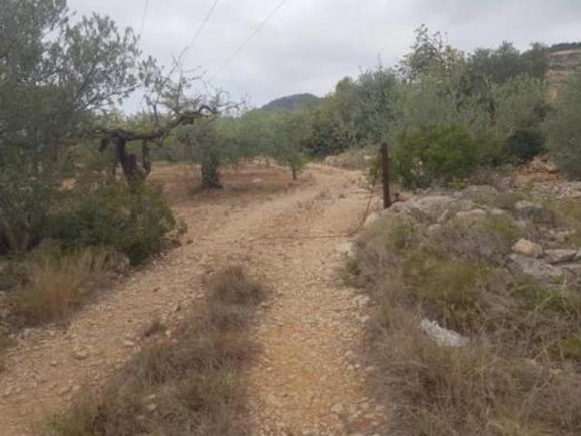 Casa rústica Venta Alcanar, Alcanar