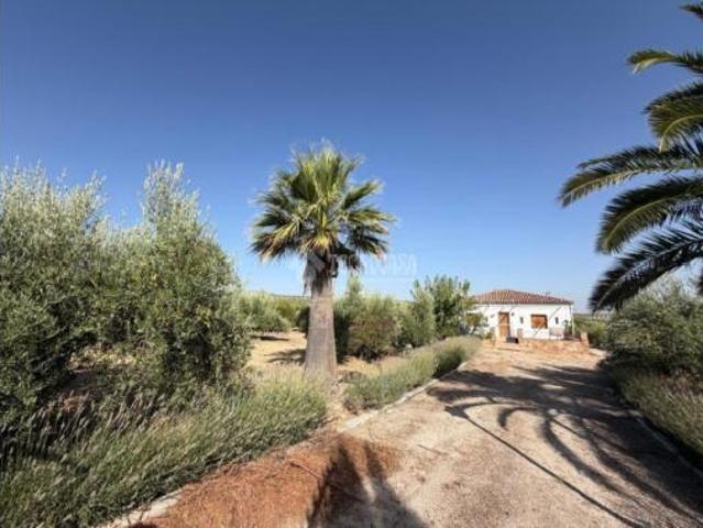 Casa rústica Venta Alcaudete, Alcaudete