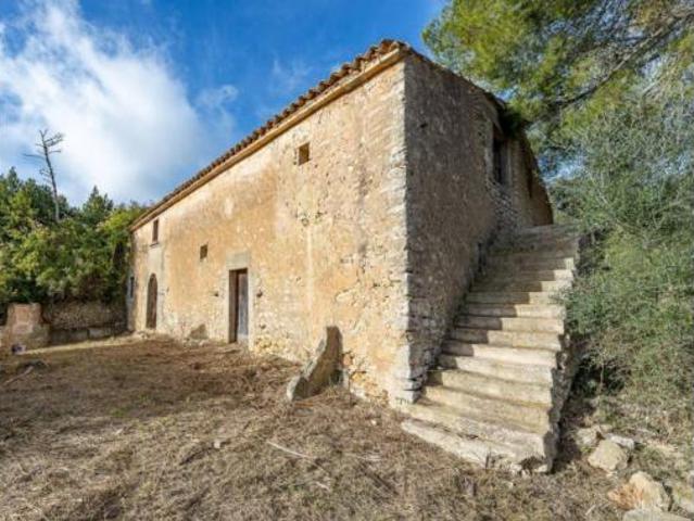 Casa rústica Venta Algaida, Cura