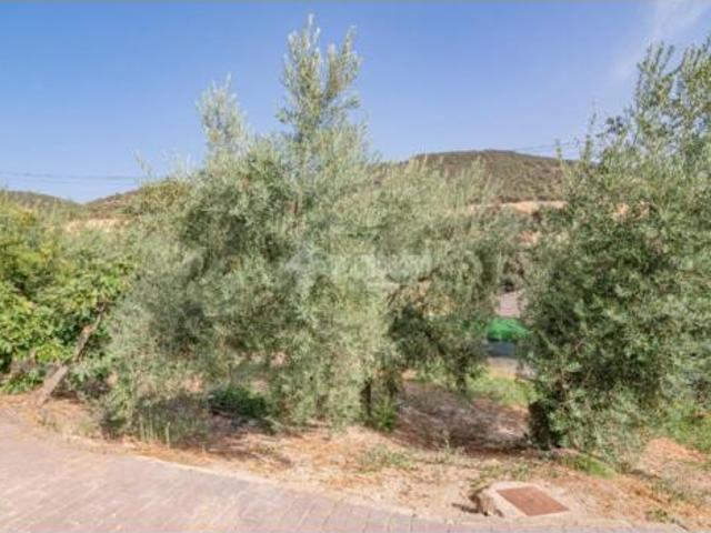 Casa rústica Venta Algarinejo, Algarinejo