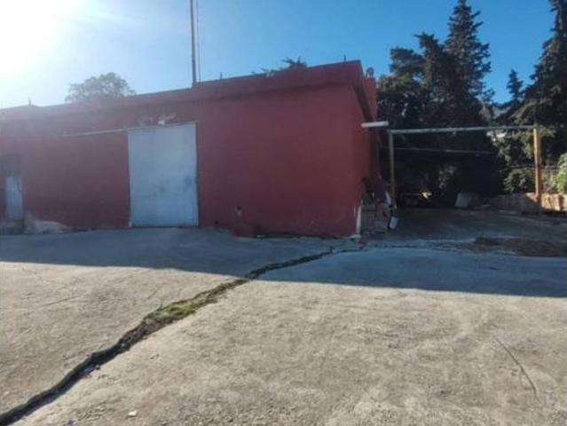 Casa rústica Venta Algeciras, El Pelayo Parques Naturales