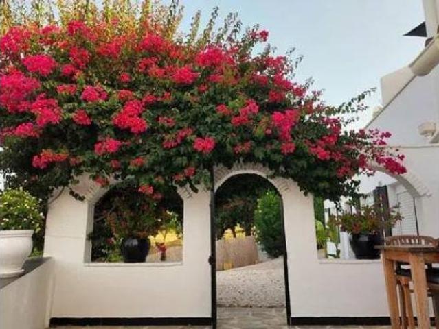 Casa rústica Venta Alhaurín el Grande, Alhaurín el Grande