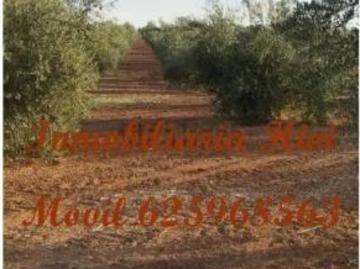 Casa rústica Venta Almendralejo, Almendralejo