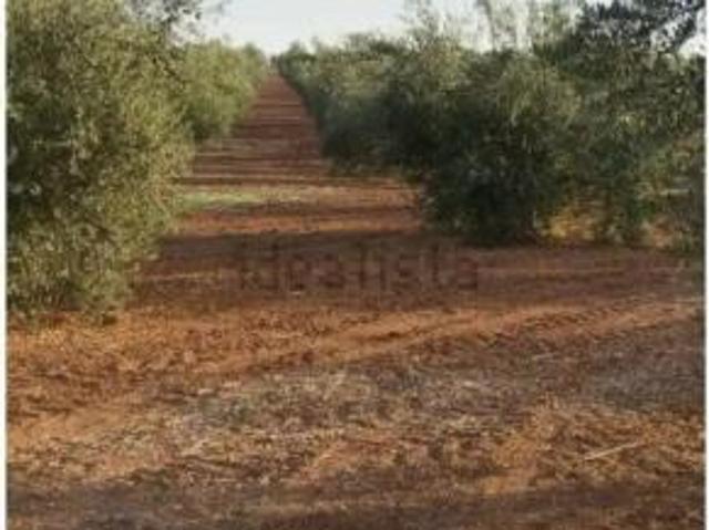 Casa rústica Venta Almendralejo, Almendralejo
