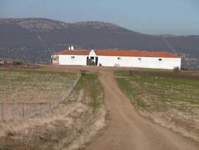 Casa rústica Venta Almodóvar del Campo, Almodóvar del Campo