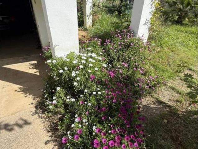 Casa rústica Venta Almodóvar del Río, Cortijo de La Torre