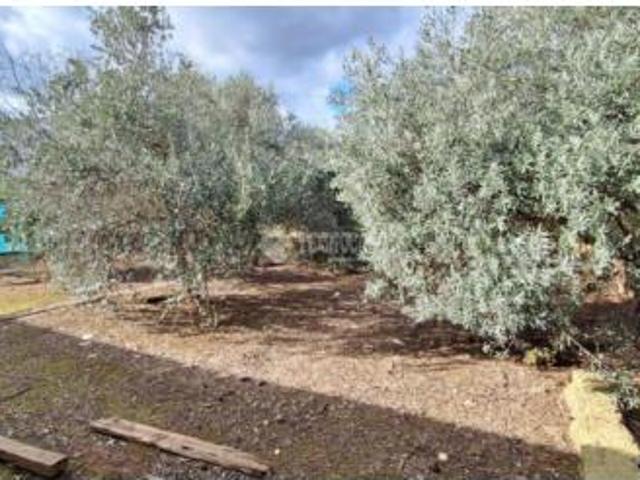 Casa rústica Venta Almodóvar del Río, Los Mochos
