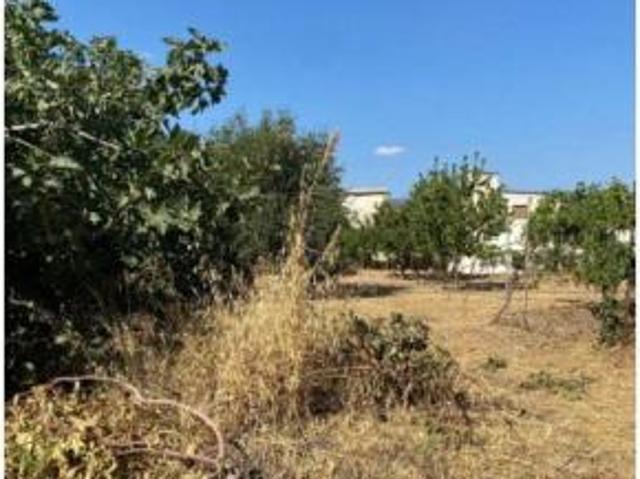 Casa rústica Venta Alpujarra de La Sierra, Yegen