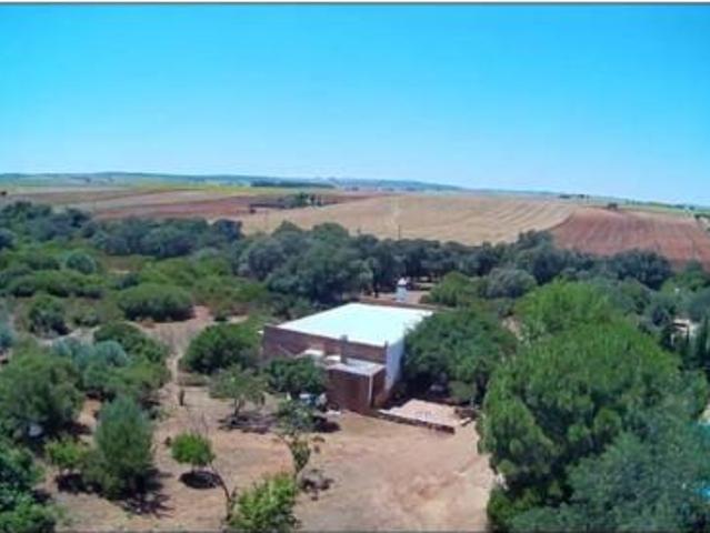 Casa rústica Venta Arcos de la Frontera, Arcos de la Frontera