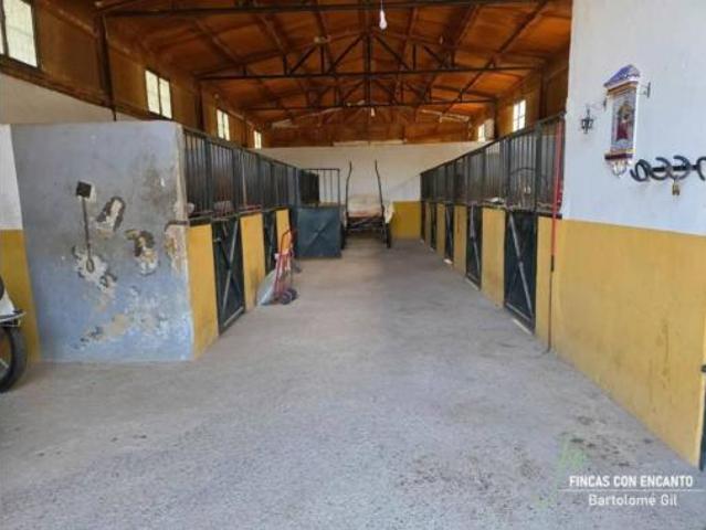 Casa rústica Venta Aznalcázar, Aznalcázar