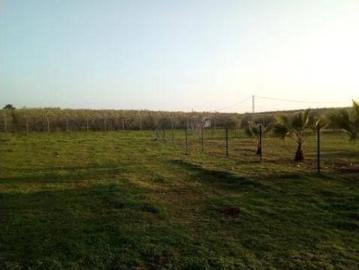 Casa rústica Venta Aznalcóllar, Aznalcóllar