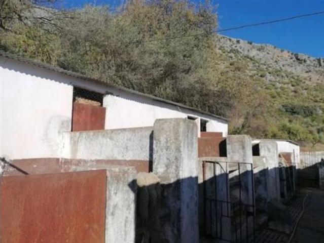 Casa rústica Venta Benaoján, Benaoján
