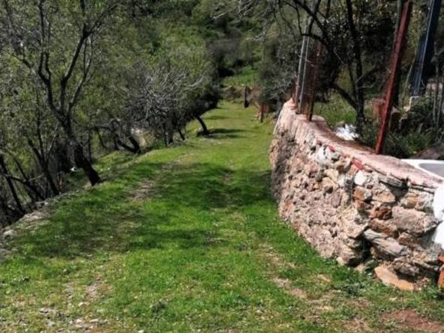 Casa rústica Venta Benalauría, Benalauría