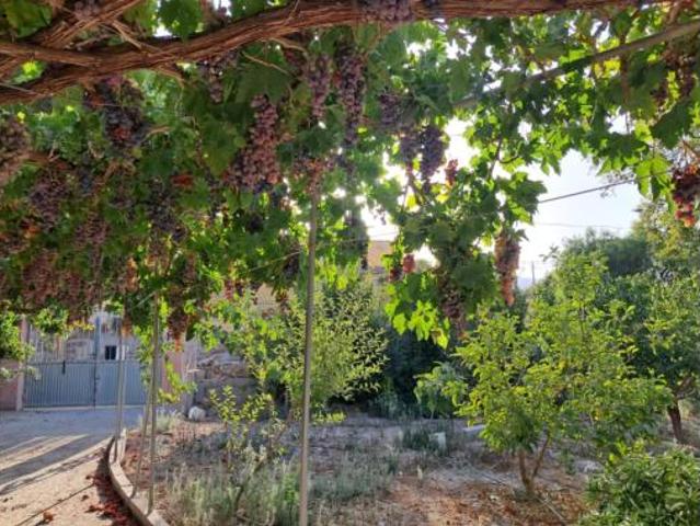 Casa rústica Venta Berja, Berja