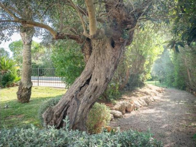 Casa rústica Venta Bunyola, L'Esgleieta