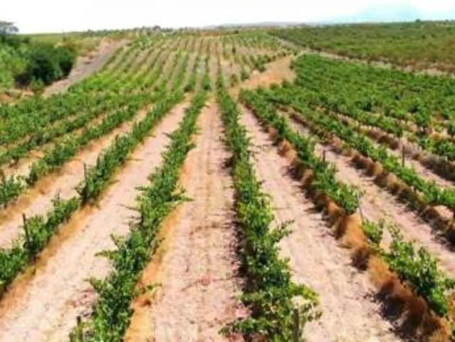 Casa rústica Venta Gor, Cenascuras