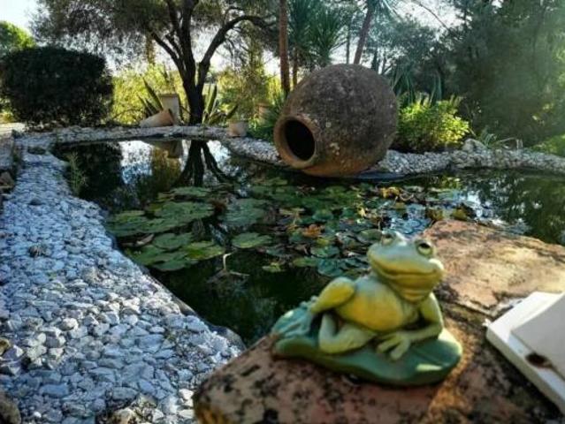 Casa rústica Venta Gaucín, Gaucín