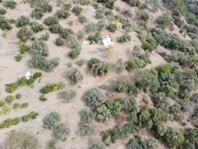 Casa rústica Venta Genalguacil, Genalguacil