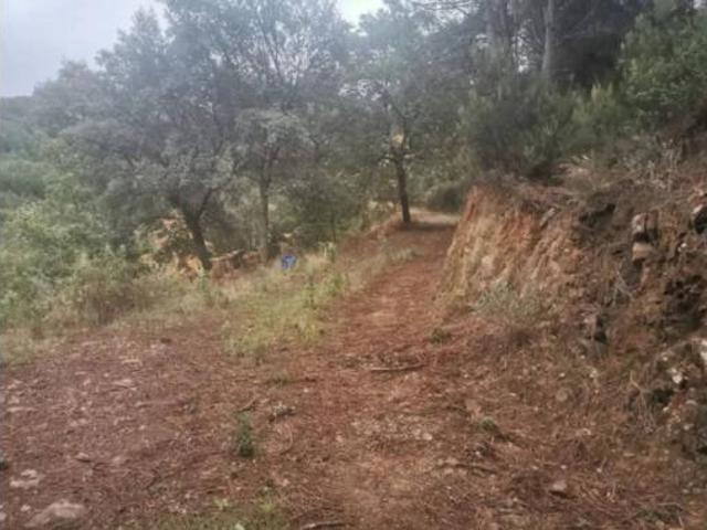 Casa rústica Venta Genalguacil, Genalguacil