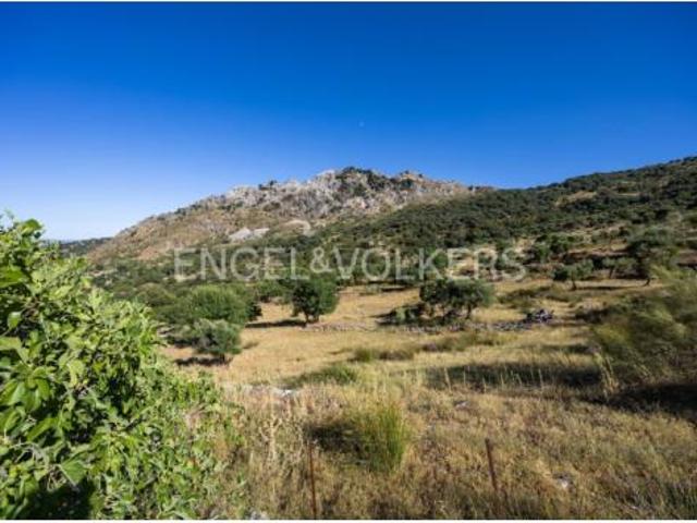 Casa rústica Venta Grazalema, Grazalema