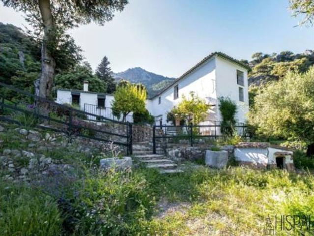 Casa rústica Venta Grazalema, Grazalema