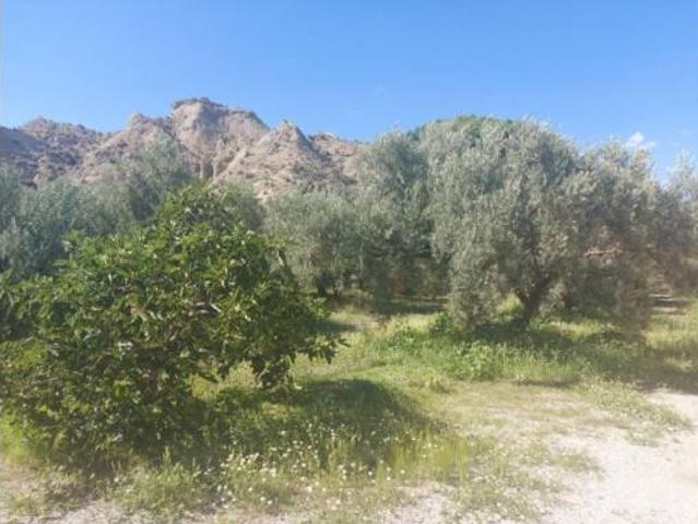 Casa rústica Venta Guadix, Bácor
