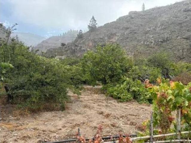 Casa rústica Venta Guía de Isora, Guía de Isora
