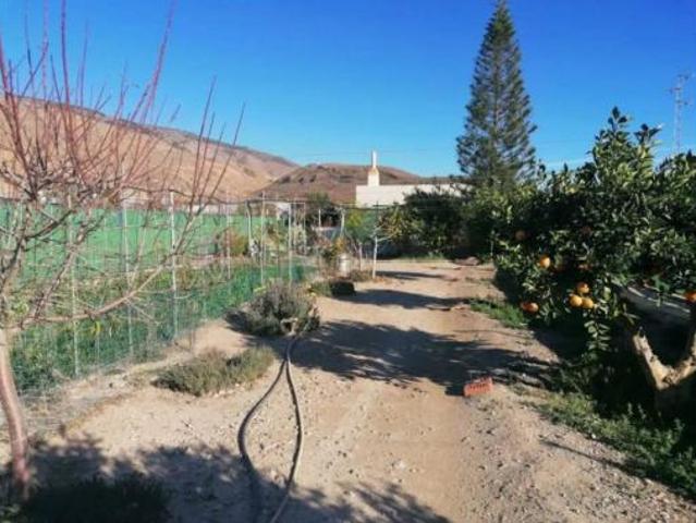 Casa rústica Venta Dalías, Dalías