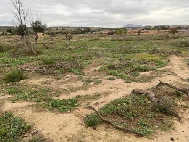 Casa rústica Venta Elx Elche, Centro