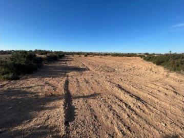 Quinta en venta en Baix Vinalopó