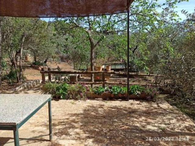 Casa rústica Venta El Pedroso, El Pedroso