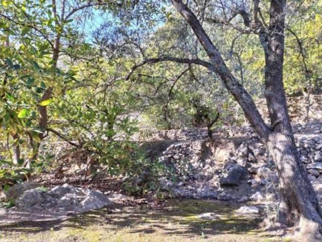 Casa rústica Venta El Pinar, Pinos del Valle