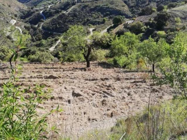 Casa rústica Venta El Pinar, Pinos del Valle
