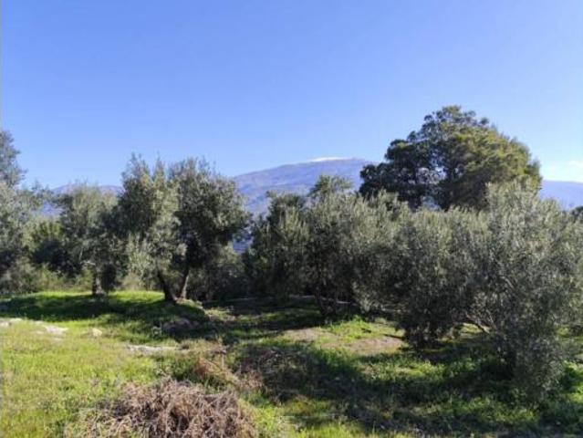 Casa rústica Venta El Valle, El Valle