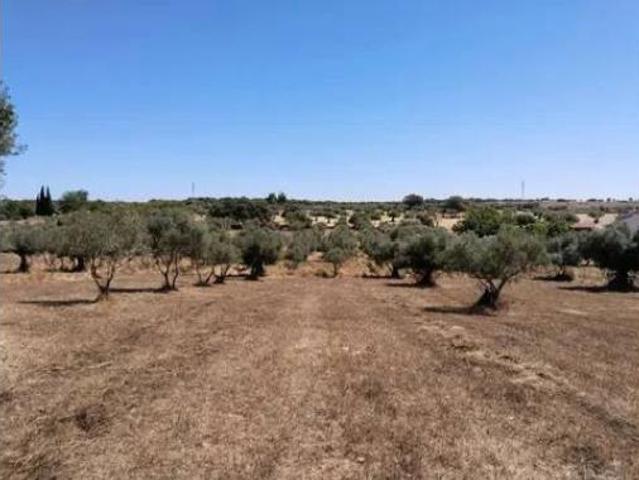 Casa rústica Venta Fregenal de La Sierra, Fregenal de La Sierra
