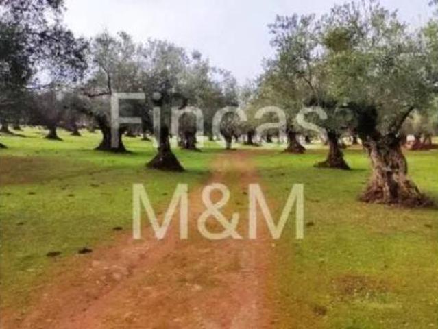 Casa rústica Venta Fuentes de León, Fuentes de León