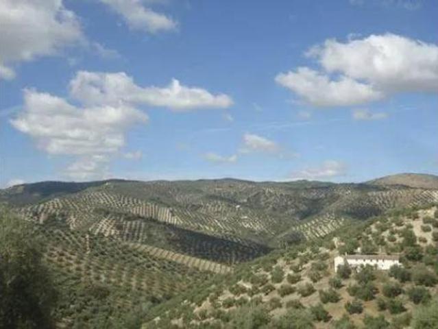 Casa rústica Venta Iznájar, Arroyo del Cerezo