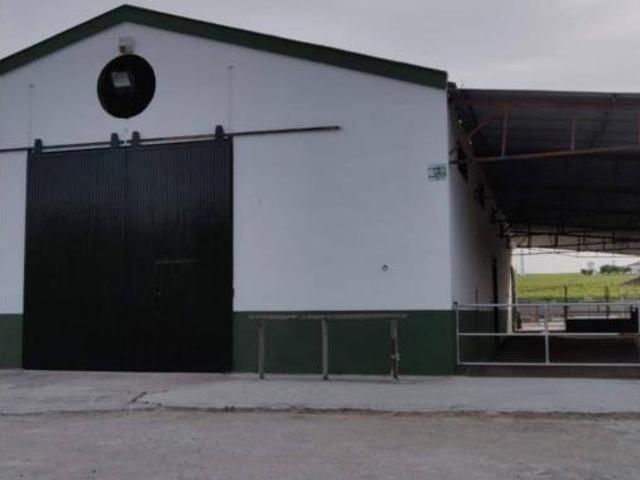Casa rústica Venta Jerez de la Frontera, Rural