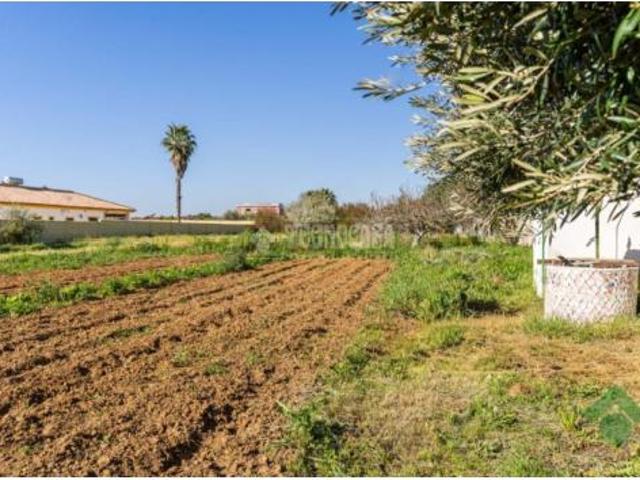 Casa rústica Venta Jerez de la Frontera, Rural