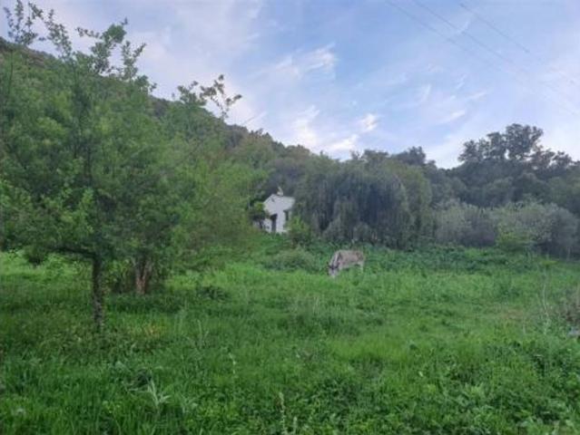 Casa rústica Venta Jimena de la Frontera, Jimena de la Frontera
