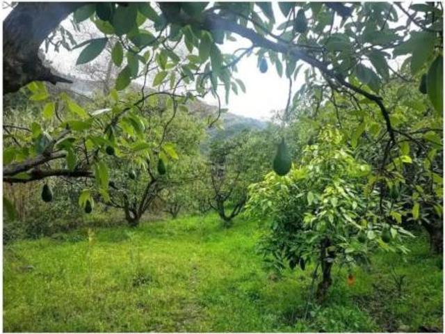 Casa rústica Venta Jubrique, Jubrique