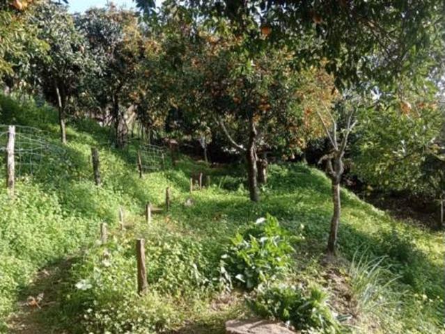 Casa rústica Venta Jubrique, Jubrique