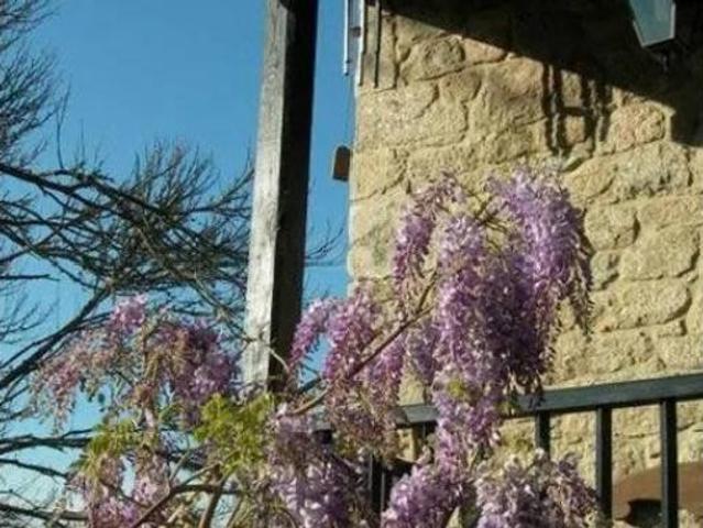 Casa rústica Venta O Saviñao, Acova