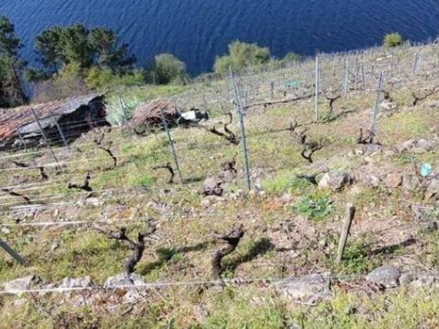 Casa rústica Venta O Saviñao, O Saviñao