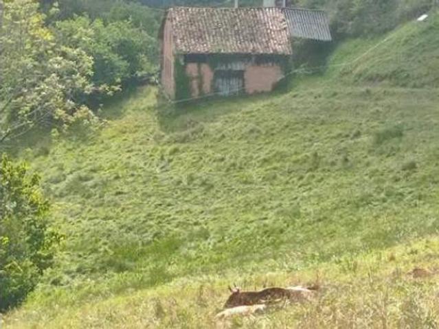 Casa rústica Venta Onís, Benia de Onís