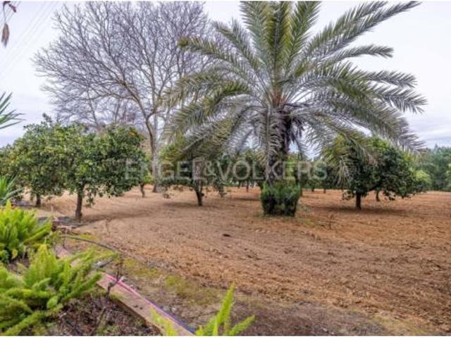 Casa rústica Venta Olivares, Olivares