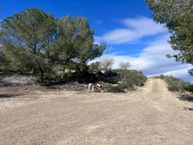 Casa rústica Venta Orihuela, Orihuela Pedanías